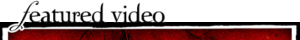 videobox_01-FRcGWD.gif